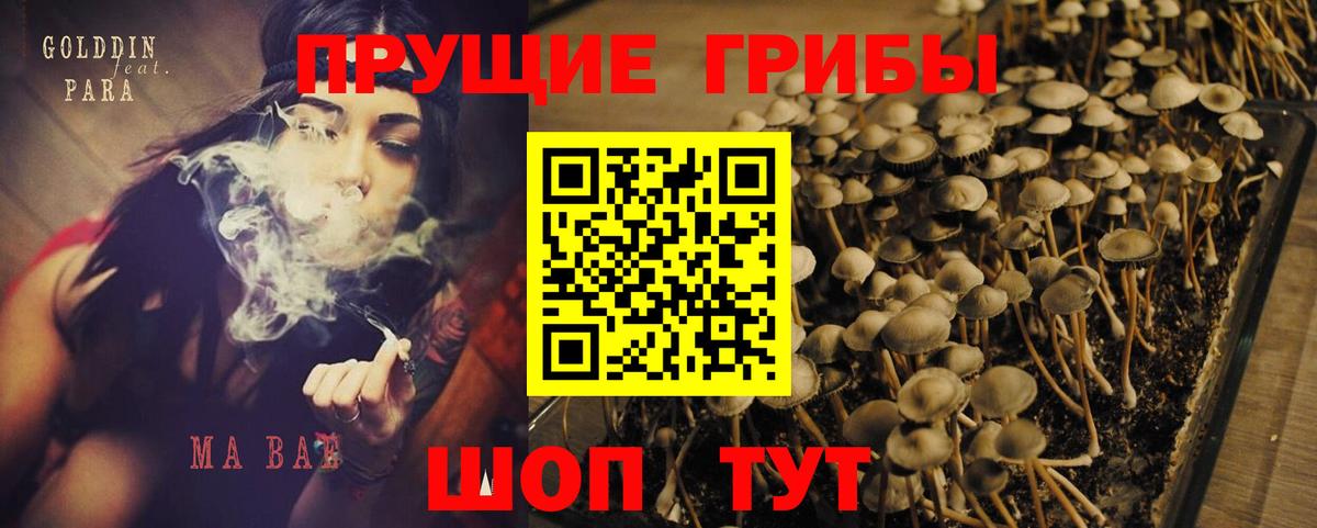 Галлюциногенные грибы MAGIC MUSHROOMS Реутов